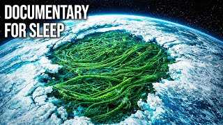 When a Tiny Plant Froze the Entire Planet — The Azolla Event | Documentary For Sleep