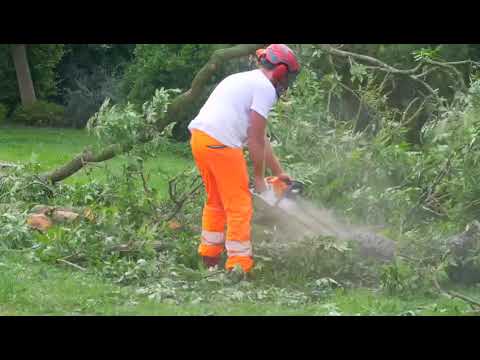 The green arborist limited video.