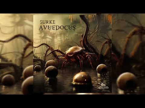 Surke - Avuedocus