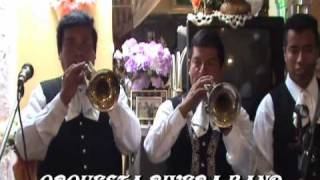 MARIACHI NUEVO JALISCO - ORQUESTA RIVERA BAND: CARTAGENERA-TELF. 5681512 -  - 989993475