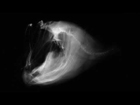 Abyssvm - Melanocetus (Original Mix)