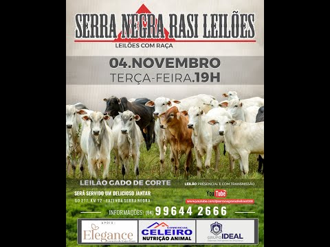 LEILÃO  SERRA NEGRA RASI LEILÕES - PIRACANJUBA - GO | 04 DE NOVEMBRO DE 2025