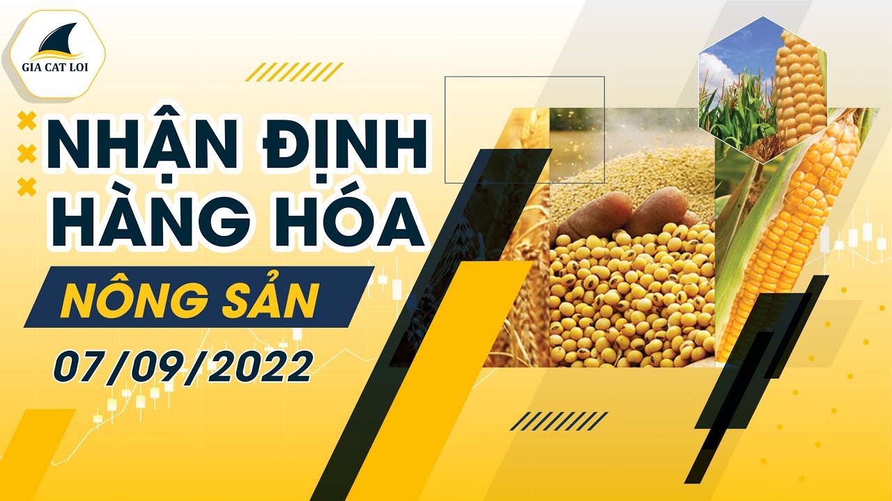 Nhận Định Thị Trường Nông Sản Ngày 07/09/2022
