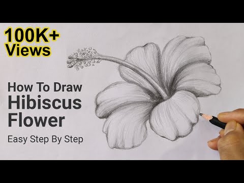 How To Draw Hibiscus Flower Easy Step By Step | Drawing Lesson 6 | Pencil Sketch