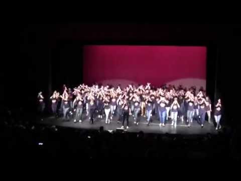 Home Medley - Ambassadors of Excellence 2015