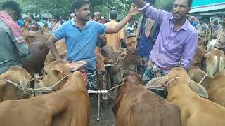 15. ৬.২৫  মাথা নষ্টো করা কালেকশোন আমাদের জয়পুরহাট নতুন হাঁট