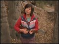 Dear Deer - Kate Micucci 