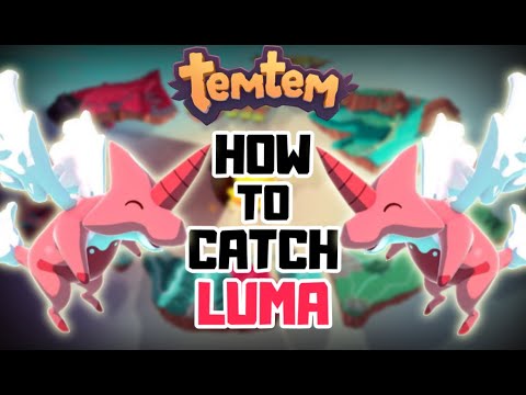 TEMTEM: How to catch luma 100%