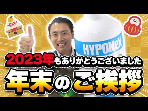 園芸 カリカンス、アネモネの木、ポンパドールの木