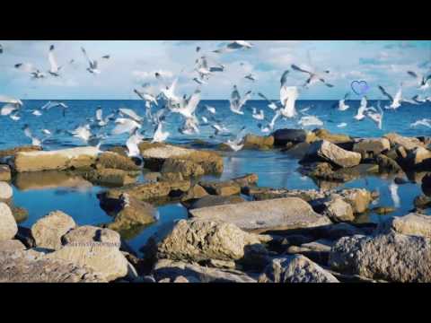 STAMATIS SPANOUDAKIS - Kithares