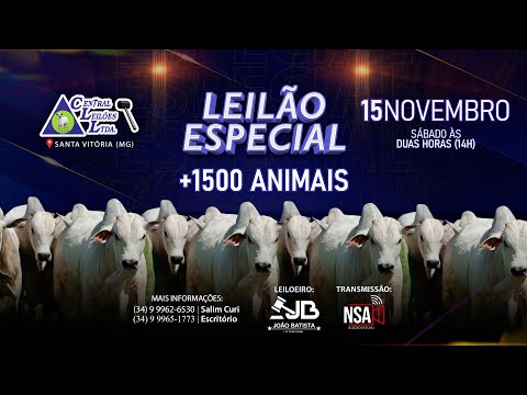 🌾  Leilão Especial Carga Fechada  - Central Leilões - Santa Vitória (MG) - 15 de NOVEMBRO