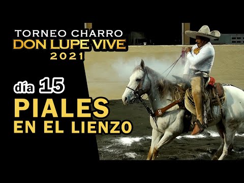 PIALES EN EL LIENZO dia 15 - Torneo Don Lupe Vive 2021