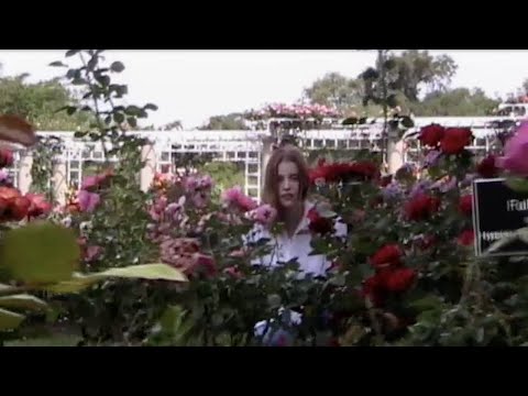 Willa Amai - Too Close (Official Video)