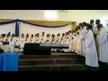 Mt Sinai Festival Presentation