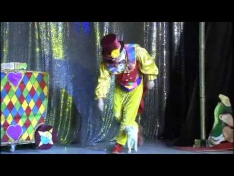 World's first performing cat theatre opens in Russia