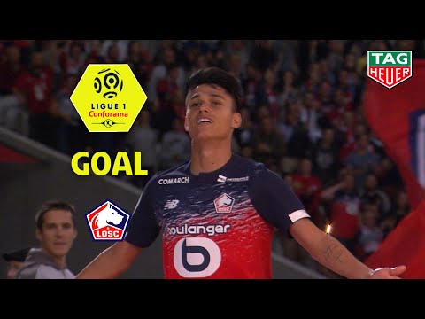 Goal Luiz ARAUJO (53') / LOSC - Angers SCO (2-1) (LOSC-SCO) / 2019-20