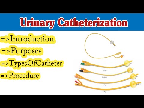 IV Cannula Colour And Size Cannula Types And Uses