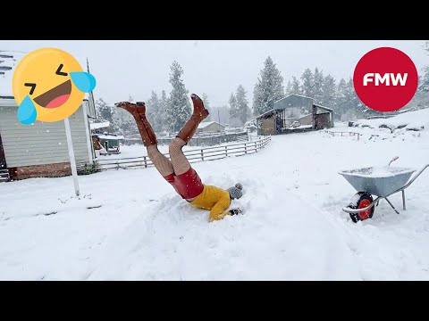 Try Not To Laugh 🤣 Top 100 Funniest Videos Ever 😂 | Funny Videos Compilation 2026 #53