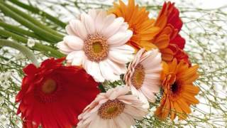 A alma após a morte - Livro dos Espiritos