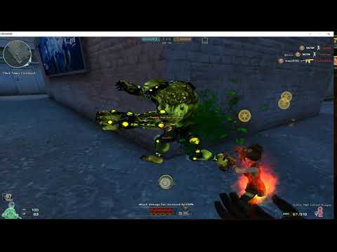 Crossfire NA, Dahlia TMP Practice. 14