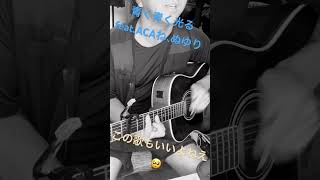 青く青く光る feat.ACAね、ぬゆり　弾き語り　アコギ　アラサーです、僕は。ずとまよ好きです