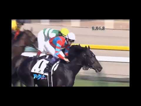 【キズナ】東京優駿(日本ダービー)