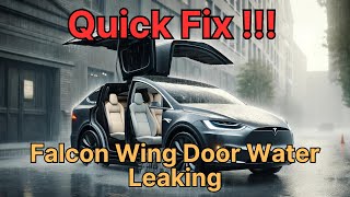 Quick Fix !!! Tesla Model X Falcon Wing Door Water Leaking Issue