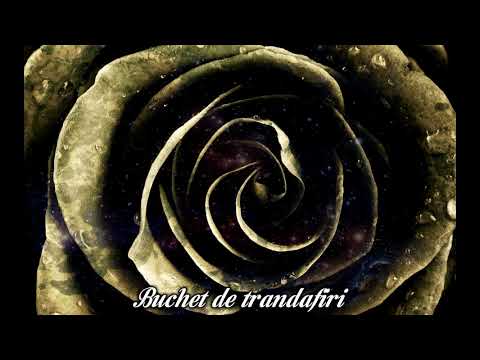 DRK feat. iPack - Buchet de trandafiri (Prod. Hanto)