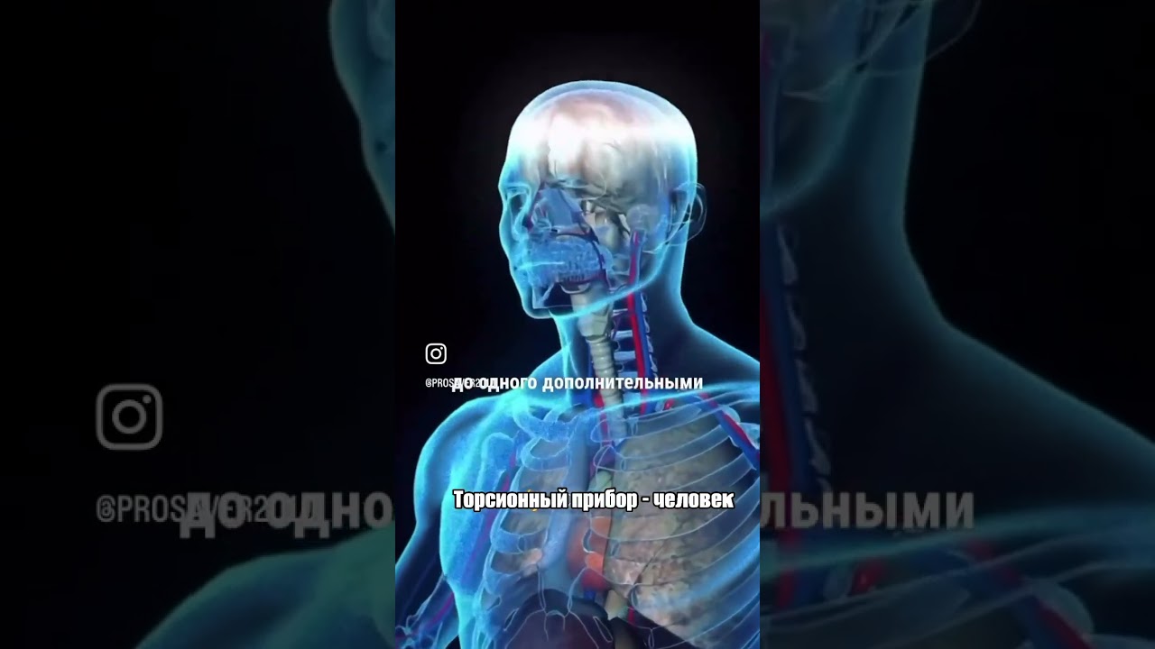 Man is a generator of torsion fields