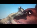 Ice Age Clip A Great Team