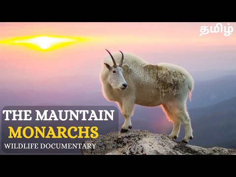 The Mountain Of Goat