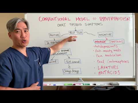 Understanding Thyroid Dysfunction Hashimoto s Part 1 Signs and Symptoms