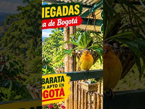 una finca Yacopí cafetera mas barata que un apto cerca de bogota