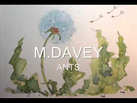 M.DAVEY - ANTS