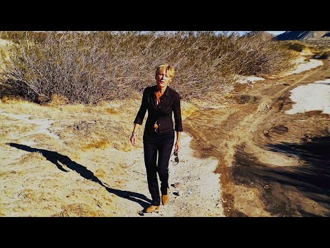 Irreplaceable - Marilyn Scott