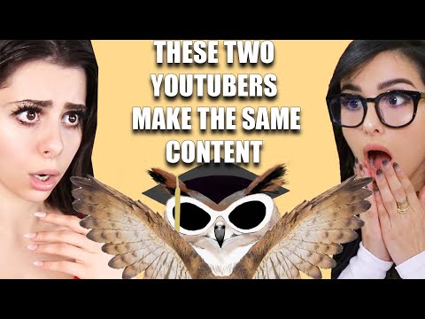 These Reaction Channels Make The Same Content - SSSniperwolf and Azzyland