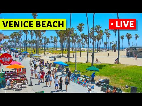 🔴 Los Angeles Live Cam · Venice Beach · Venice V Hotel · Live Camera Stream