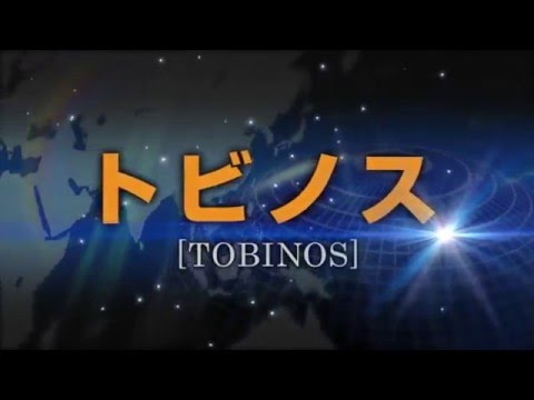 ジョイント足場「トビノス」TOBINOS