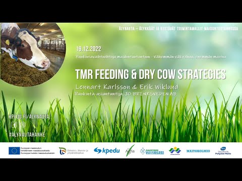 TMR Feeding and dry cow strategies