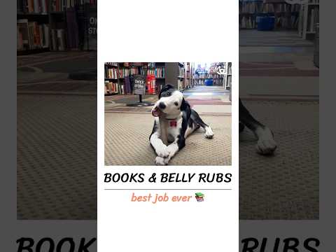 Youtube Video Embed