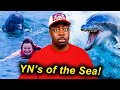 DOLPHINS SEA DIDDY