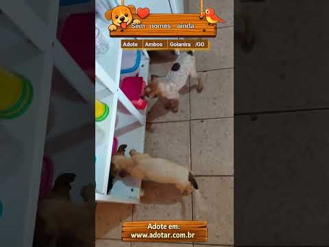 Vídeo de Sem nomes ainda