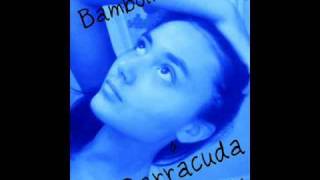 Ligabue Bambolina e barracuda