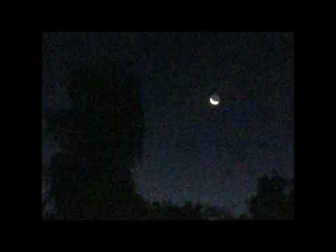 01. sakukawa/Der Blühende - Auswegslos