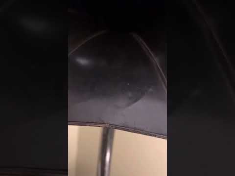 We Three Kings of Orient Are