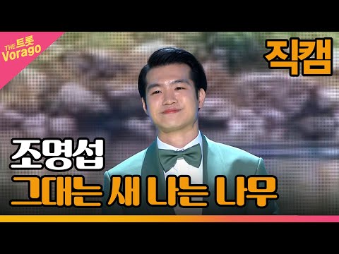 [세로 직캠]조명섭¸ 그대는 새 나는 나무 | 트롯쇼 230313