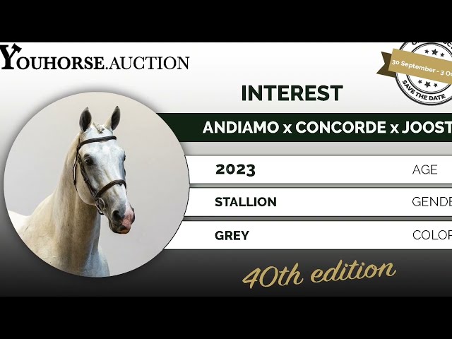 Interest @ show