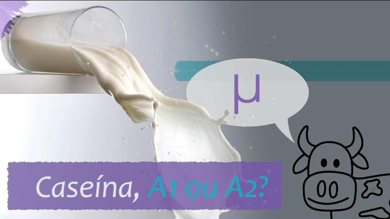 Leite faz mal? Caseína A1 ou A2? Qual caseína é melhor? Leite A2A2 é melhor?