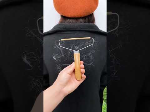 Portable Lint Remover