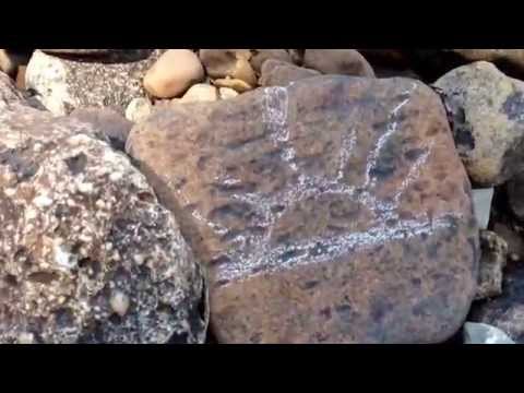 Petroglyphs with Grace Friszell
